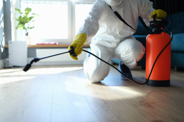 Reliable Odor Removal contractor in Pembroke, VA by Trauma Clean Pros